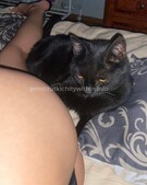 Анкета проститутки Полина - метро Сходненская, возраст - 22